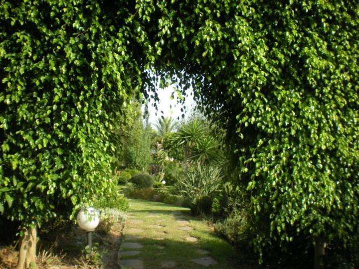 Large 2 Bed Elviria - El Manantial Ground Floor Apartamento Marbella